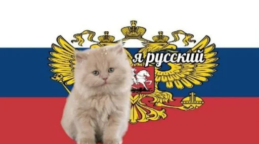 Sticker khujnya_kakaya_to_by_SozdaiStickeriBot - 1