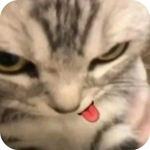 Sticker kitiki9994 - 1