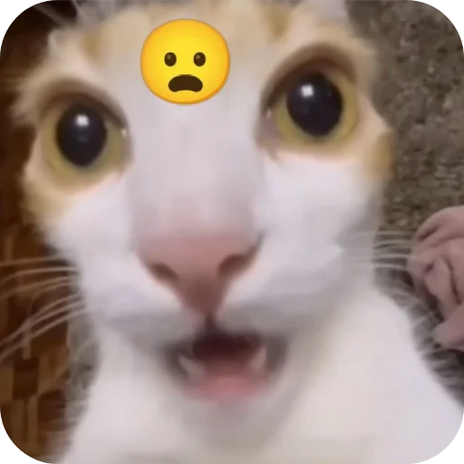 Sticker kitiki9994 - 1