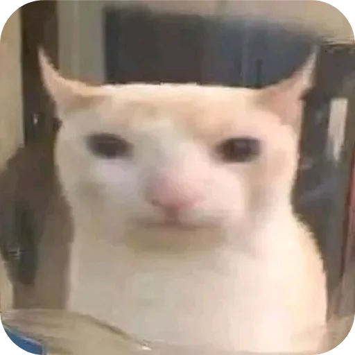 Стикер kitiki9994 - 1