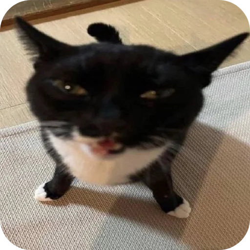 Sticker kitiki9994 - 1