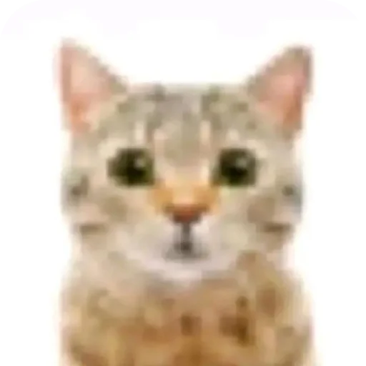 Sticker kitiki9994 - 1