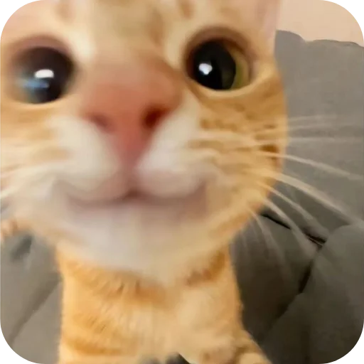 Sticker kitiki9994 - 1