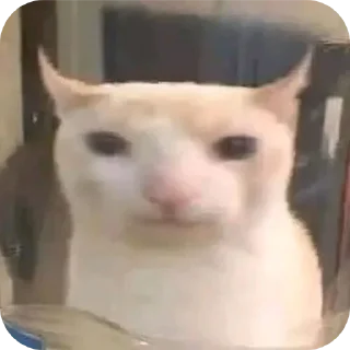 Sticker кисики - 6