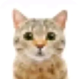 Sticker кисики - 4