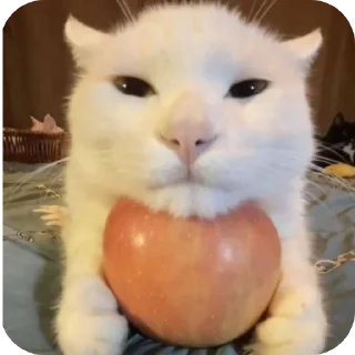 Sticker кисики - 9