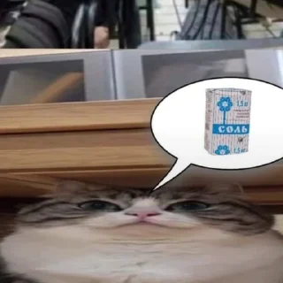 Стикер Ⴆιɠ ƘƘƘ ραƈƙ 🥝｜@komaru_pics - 1