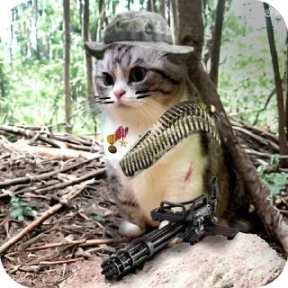 Стикер Кот @MoiStikiBot - 1