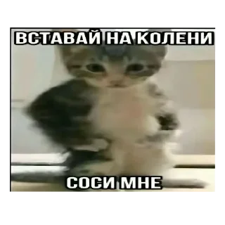 Sticker кристаликкк - 4