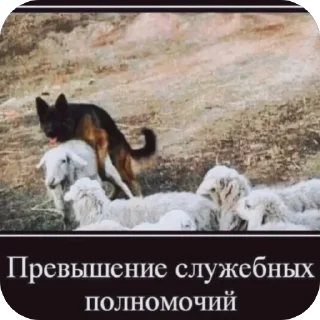 Стикер кто - 3