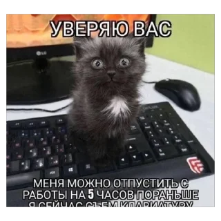 Стикер кто - 10