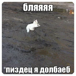 Стикер кто - 9