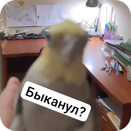 Sticker kuzyaka_228_by_MoiStikiBot - 1