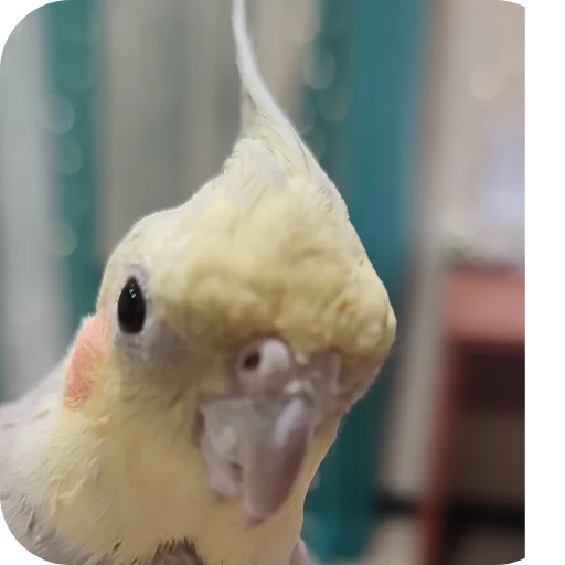 Sticker kuzyaka_228_by_MoiStikiBot - 1