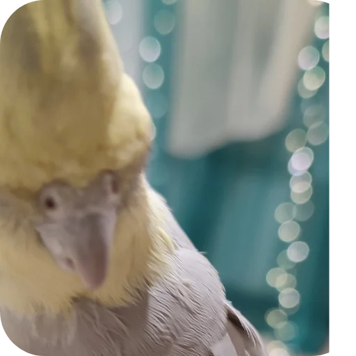 Кузяка 228 @MoiStikiBot - 