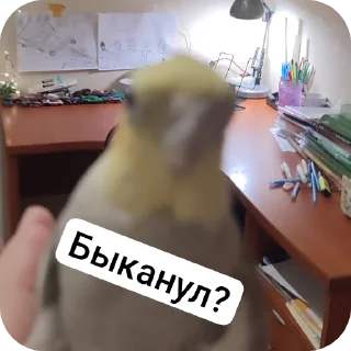 Sticker Кузяка 228 @MoiStikiBot - 6