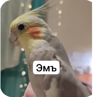 Sticker Кузяка 228 @MoiStikiBot - 8