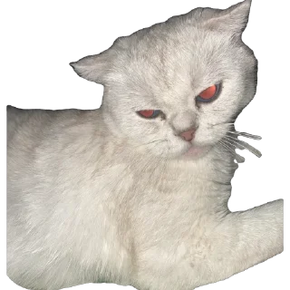 Стикер ква - 1