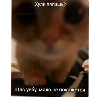 Стикер Больше стиков тут: @stikery4 - 8