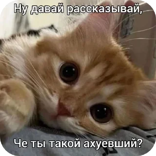 Стикер Больше стиков тут: @stikery4 - 10