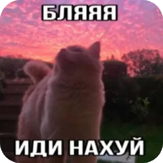 Стикер Больше стиков тут: @stikery4 - 2