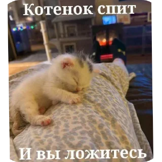 Стикер Больше стиков тут: @stikery4 - 7