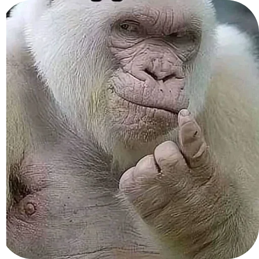 Sticker ldhGZQIpIBbh_by_stickers_stealer_bot - 1