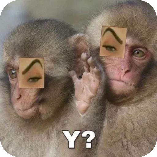 Sticker ldhGZQIpIBbh_by_stickers_stealer_bot - 1