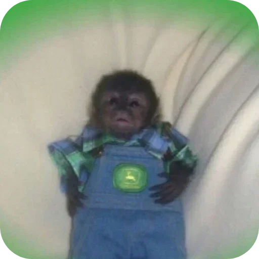 Sticker ldhGZQIpIBbh_by_stickers_stealer_bot - 1