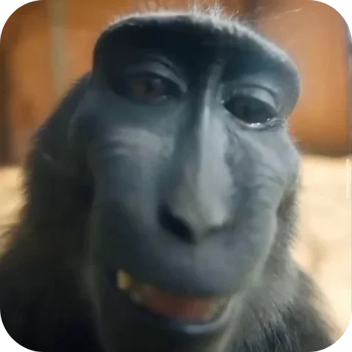 Sticker ldhGZQIpIBbh_by_stickers_stealer_bot - 1