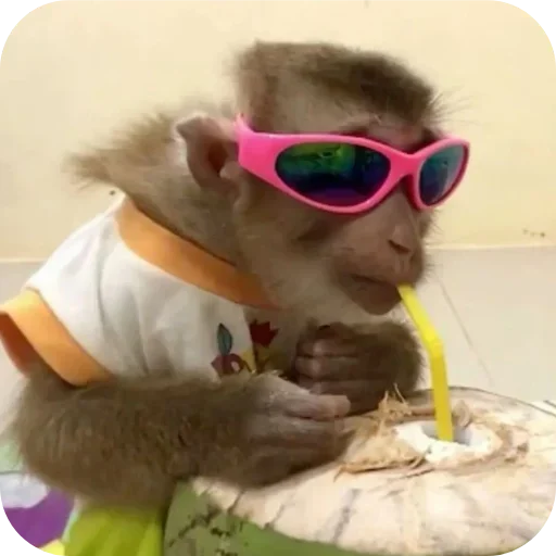 Sticker ldhGZQIpIBbh_by_stickers_stealer_bot - 1