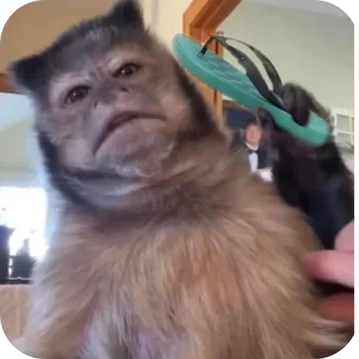 Sticker ldhGZQIpIBbh_by_stickers_stealer_bot - 1