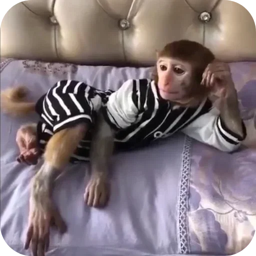 Sticker ldhGZQIpIBbh_by_stickers_stealer_bot - 1