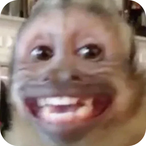 Стикер ldhGZQIpIBbh_by_stickers_stealer_bot - 1