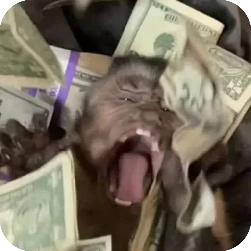 Sticker ldhGZQIpIBbh_by_stickers_stealer_bot - 1