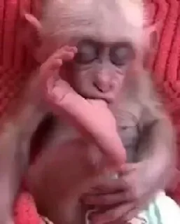 Sticker Больше стикеров 👉🏻 @stickertg4 - 7