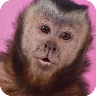 Sticker Больше стикеров 👉🏻 @stickertg4 - 2