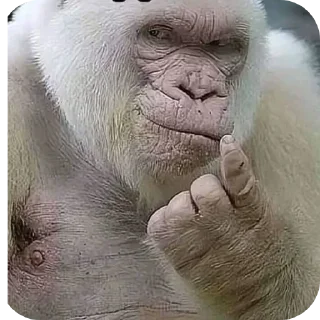 Sticker Больше стикеров 👉🏻 @stickertg4 - 11