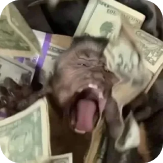 Sticker Больше стикеров 👉🏻 @stickertg4 - 1