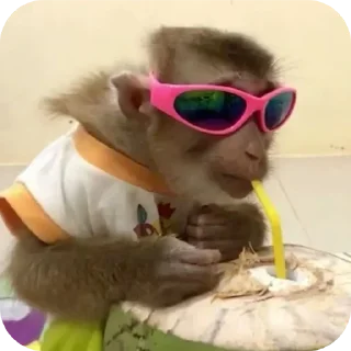 Sticker Больше стикеров 👉🏻 @stickertg4 - 6