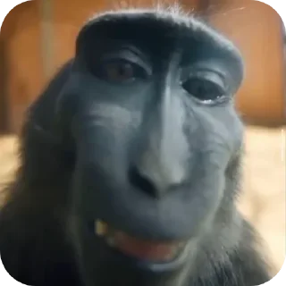 Sticker Больше стикеров 👉🏻 @stickertg4 - 8