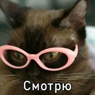 Sticker личный пук @TgEmodziBot - 9