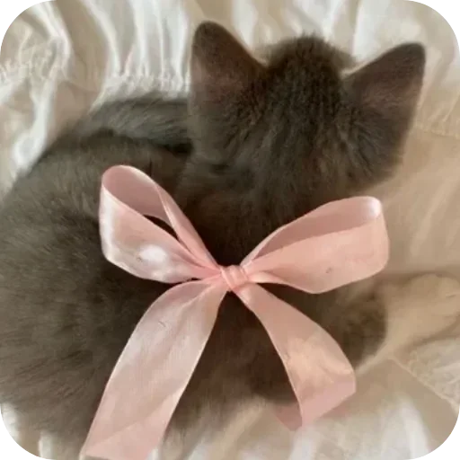 Стикер lill1vert_by_TgEmojiBot - 1