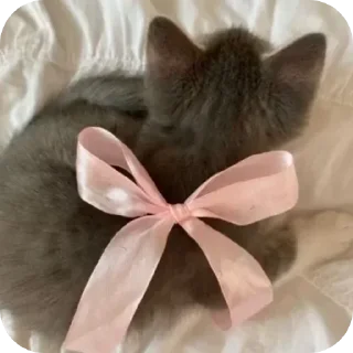 Sticker by@@lill1vert - 7