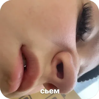 Sticker лизок - 1