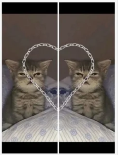 Стикер Люблю вику @MoiStikiBot - 4