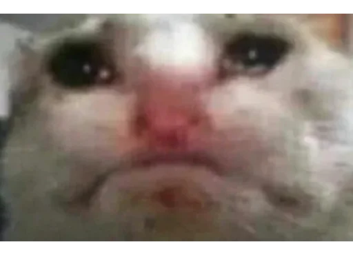 Стикер malinoviyzakat - 1