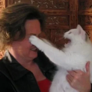 Стикер малиновый закат by harmlessdiary - 2