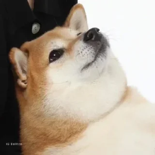 Sticker Mangyoku secret pack - 9