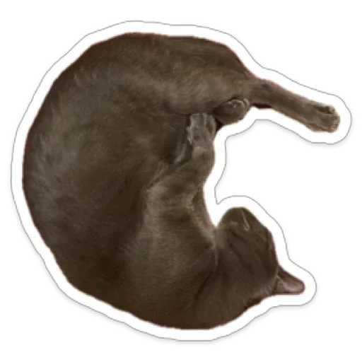 Sticker manullik - 1